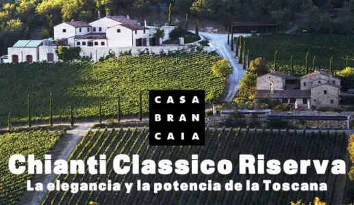 Selecciones de vinos importados de Italia